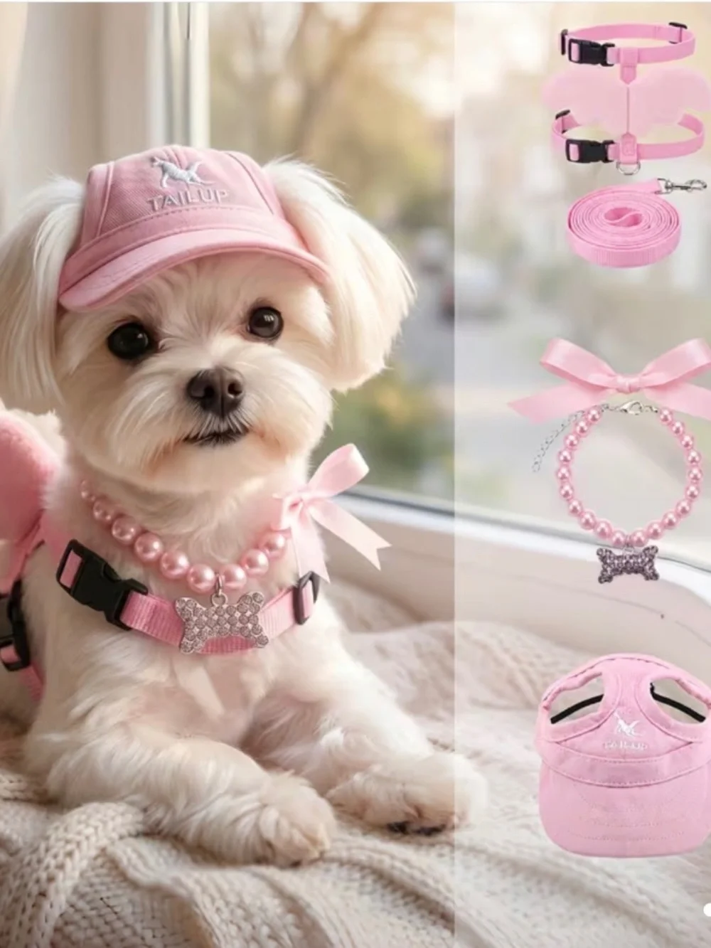 SMALL DOG COLLAR